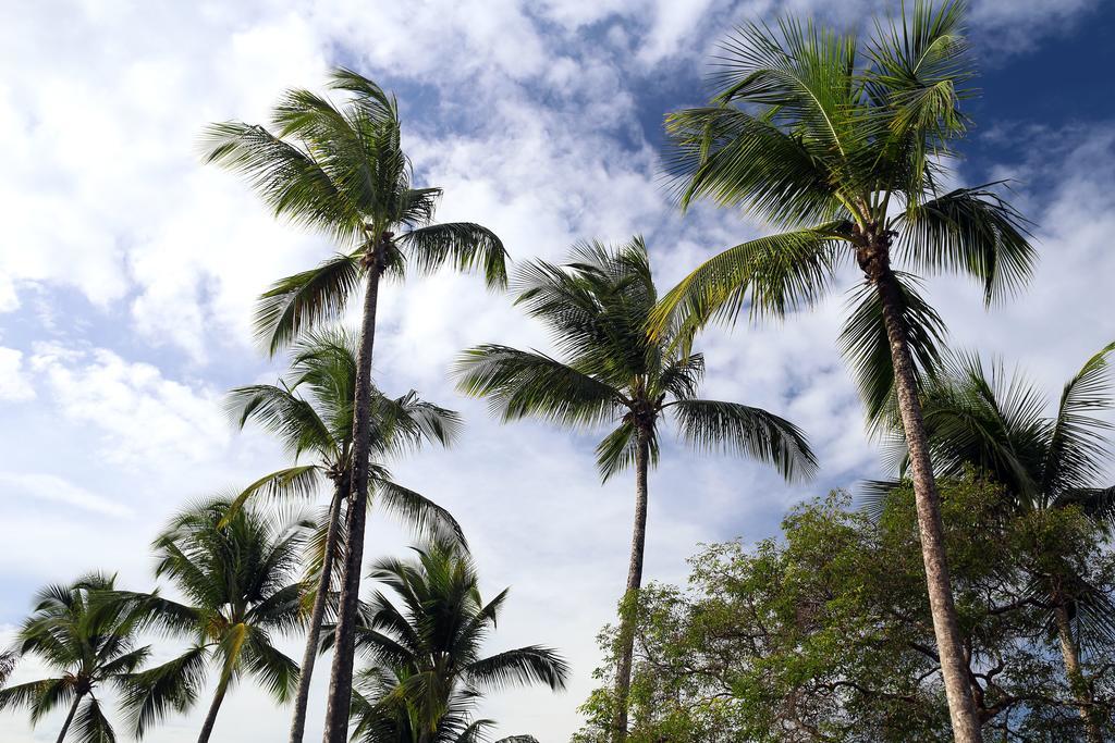 Pousada Boa Vista Morro de Sao Paulo Ngoại thất bức ảnh
